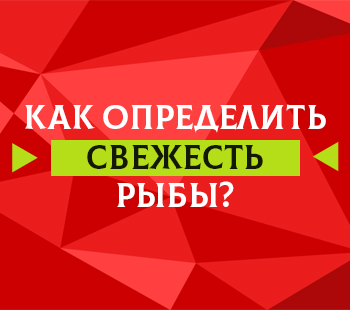 Как определить свежесть рыбы | Признаки свежей рыбы