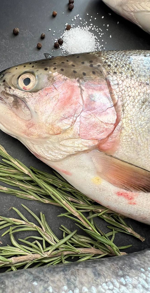 Как выбрать свежую охлажденную форель