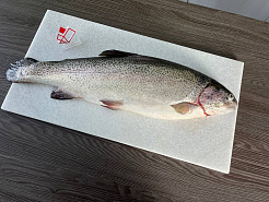 Форель потрошеная Осетия