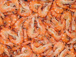 Креветка Королевская в панцире в/м 1 кг
